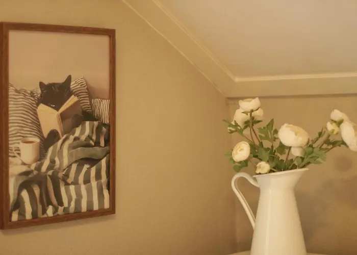 St Hanshaugen 4 Bedrooms For 8 Guests Daire *